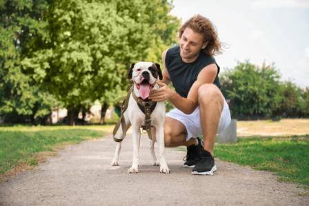 Adcuri Hundeversicherung berechnen - Hundehaftpflicht Versicherung und Hundekrankenversicherung Adcuri Hundeversicherung berechnen - Hundehaftpflicht und Hundekrankenversicherung
