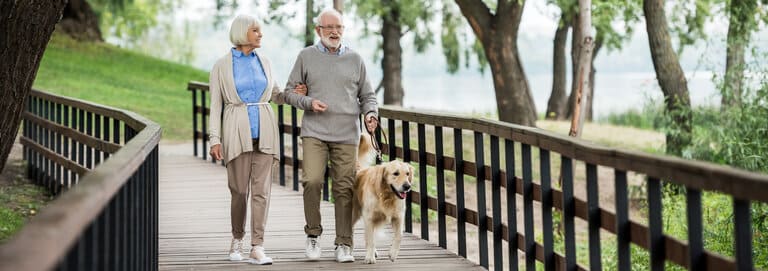  Hundekrankenversicherung Vergleich berechnen