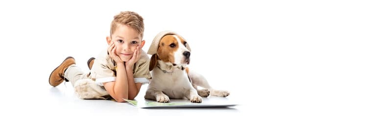 Hundekrankenversicherung Erfahrungen - aktuelle Informationen Hundekrankenversicherung Erfahrungen berechnen