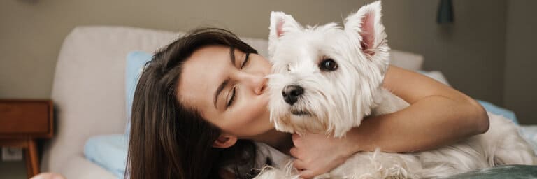 Hundekrankenversicherung Petplan - aktuelle Informationen Hundekrankenversicherung Petplan berechnen
