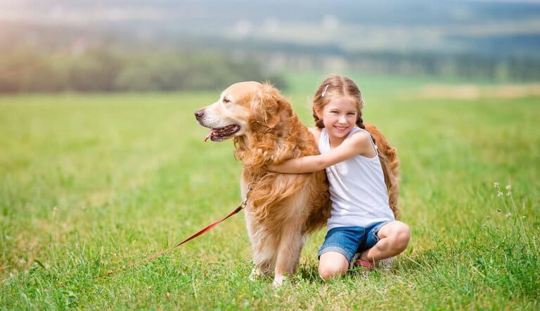  Hundekrankenversicherung Testsieger Stiftung Warentest berechnen