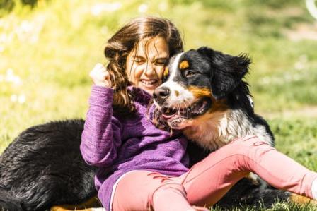 Hundekrankenversicherungen sind ein wichtiger Schutz für Hundebesitzer Hundekrankenversicherungen sind ein wichtiger Schutz für Hundebesitzer